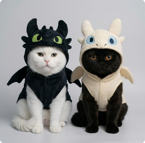 Pet toothless